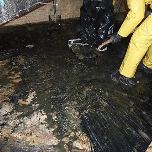 aftercare-under-house-sewage-cleanup-newport-news-va